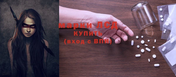 шишки Верея