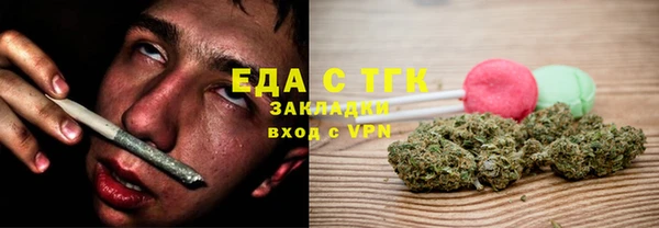 шишки Верея