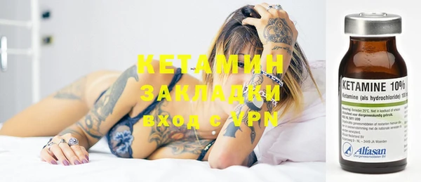 шишки Верея