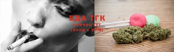 шишки Верея