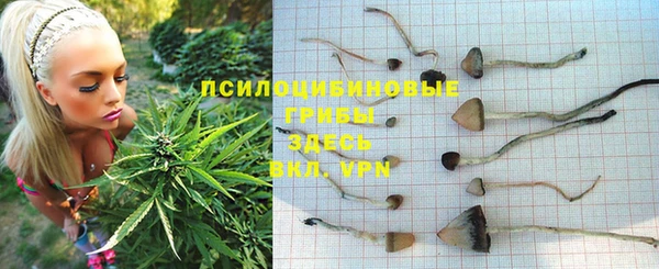 прущие крисы Верхний Тагил