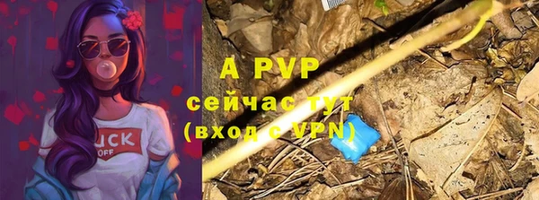 шишки Верея