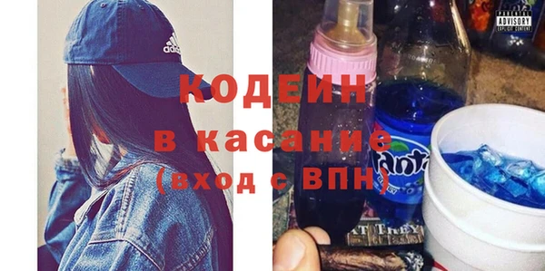 шишки Верея