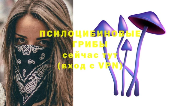 шишки Верея