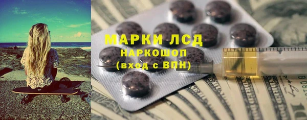 шишки Верея